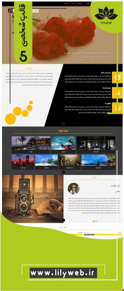 طراحی سایت شخصی (کارت ویزیتی)(per5) 