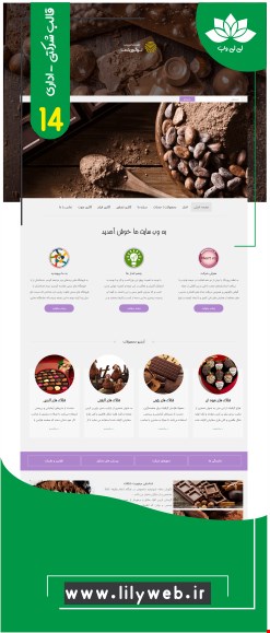 طراحی سایت شرکتی -اداری (work14)