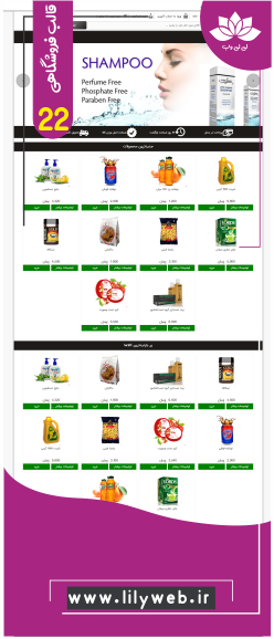 طراحی سایت فروشگاهی22